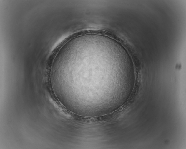 X0000111231208200907091328