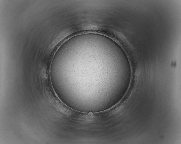 X0000111231209200907091328