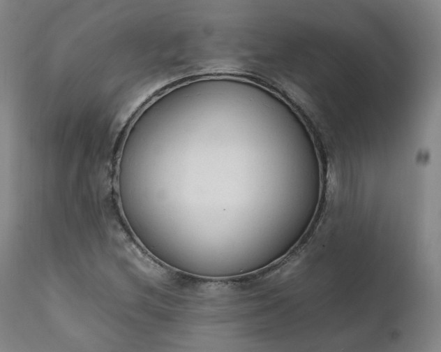 X0000111231212200907091328