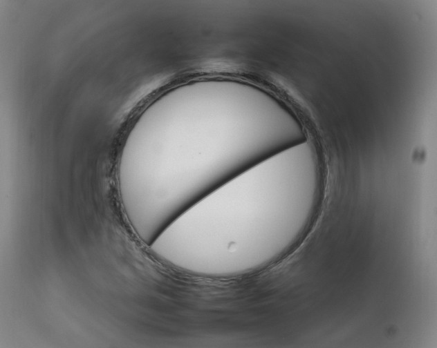 X0000111231213200907091328