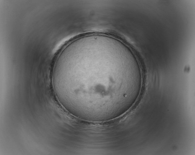 X0000111231214200907091328