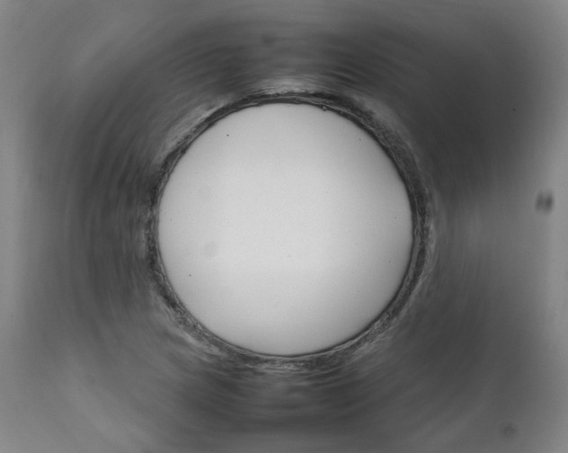 X0000111231217200907091328