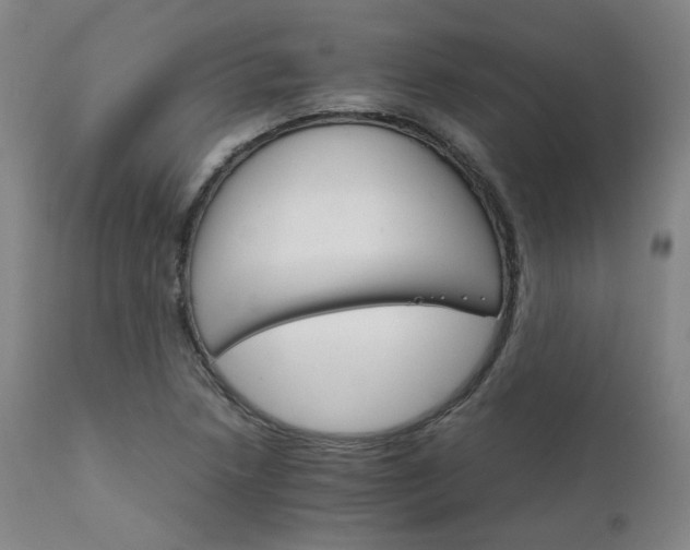 X0000111231218200907091328