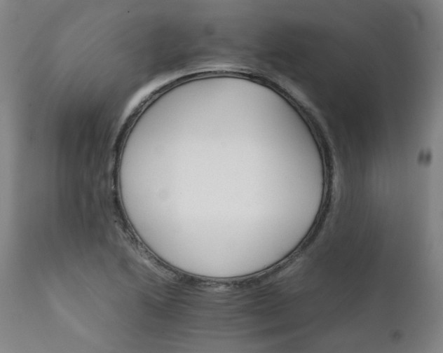 X0000111231222200907091328