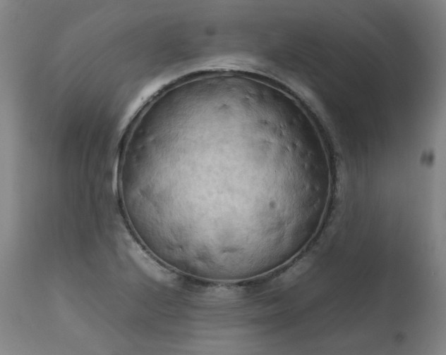 X0000111231224200907091328