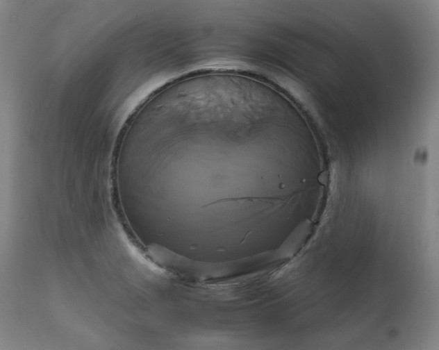 X0000111231229200907091328