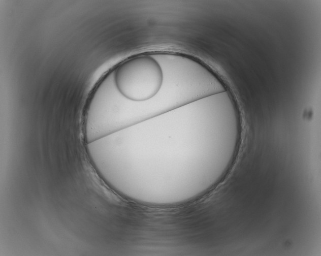 X0000111231230200907091328