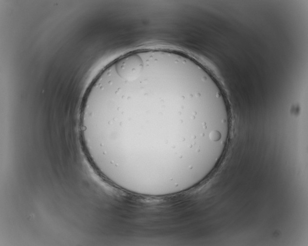 X0000111231231200907091328
