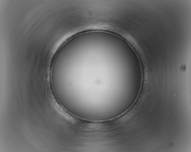 X0000111231232200907091328