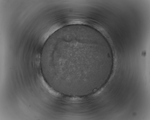 X0000111231233200907091328