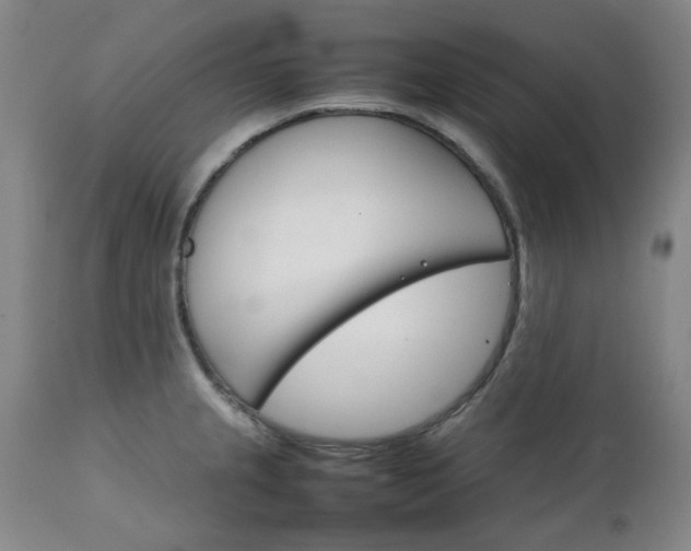 X0000111231237200907091328