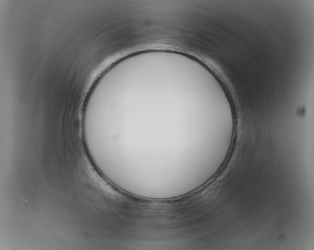 X0000111231238200907091328