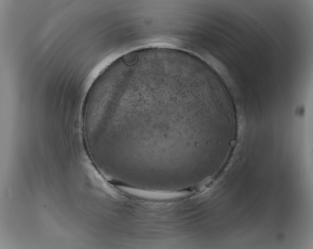 X0000111231240200907091328
