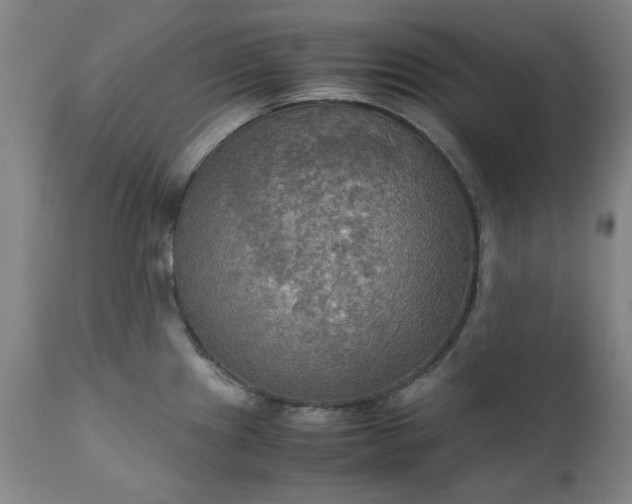 X0000111231241200907091328