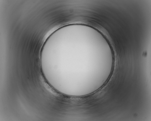 X0000111231242200907091328