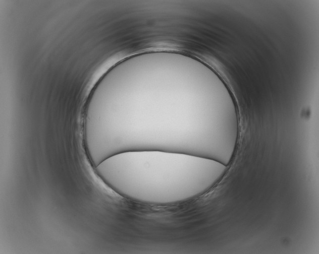 X0000111231243200907091328
