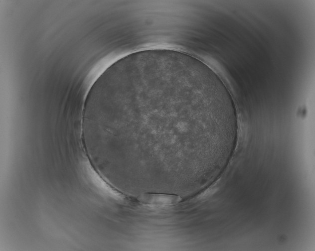X0000111231244200907091328
