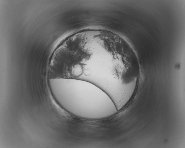X0000111231245200907091328