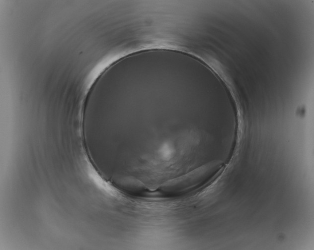 X0000111231246200907091328