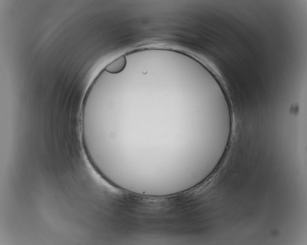 X0000111231247200907091328