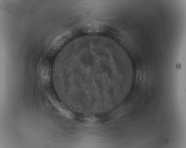 X0000111231250200907091328