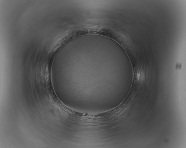 X0000111231252200907091327