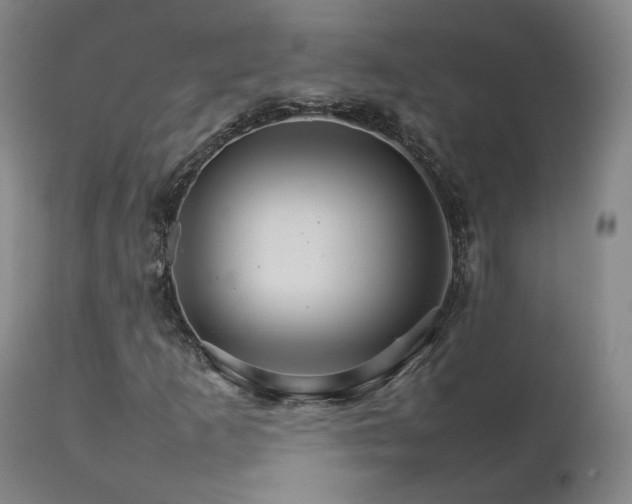 X0000111231253200907091327