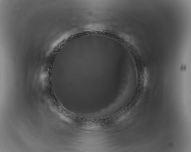 X0000111231254200907091327