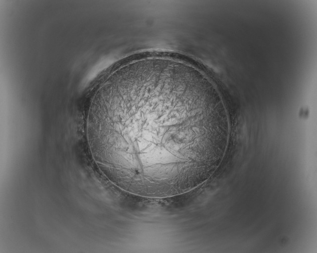 X0000111231255200907091327