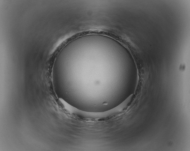 X0000111231256200907091327