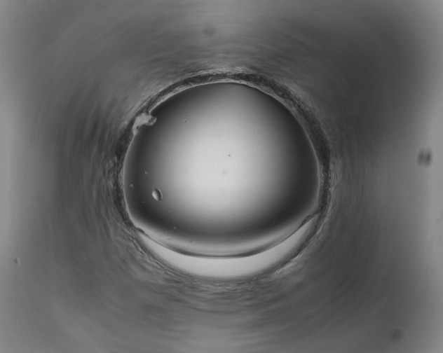 X0000111231257200907091327