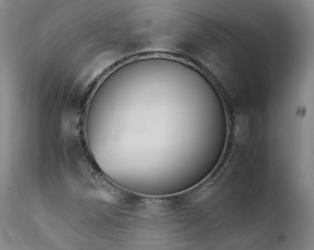 X0000111231258200907091327