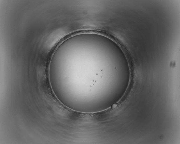 X0000111231259200907091327