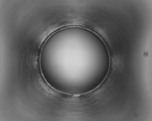 X0000111231260200907091327