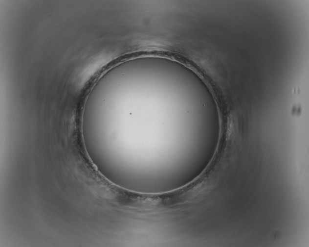 X0000111231261200907091327