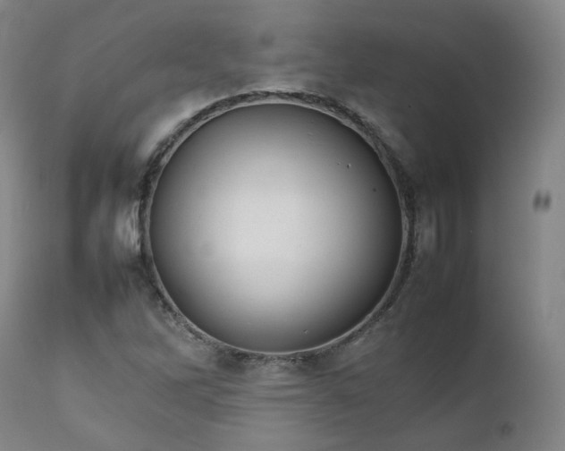 X0000111231262200907091327