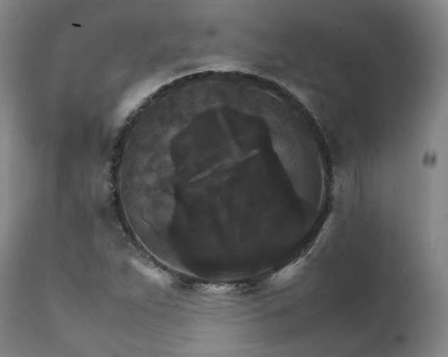 X0000111231263200907091327
