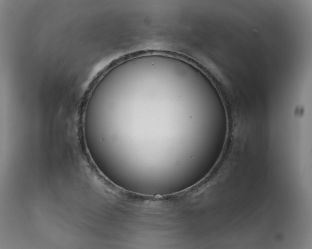X0000111231264200907091327