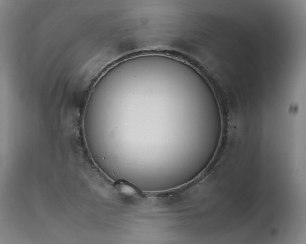 X0000111231265200907091327