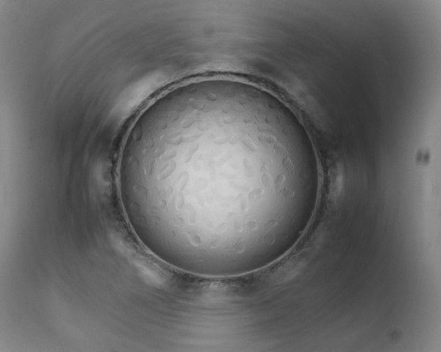 X0000111231266200907091327
