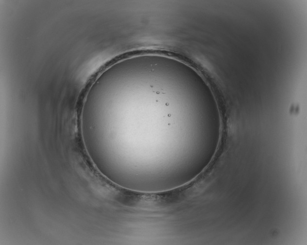 X0000111231267200907091327