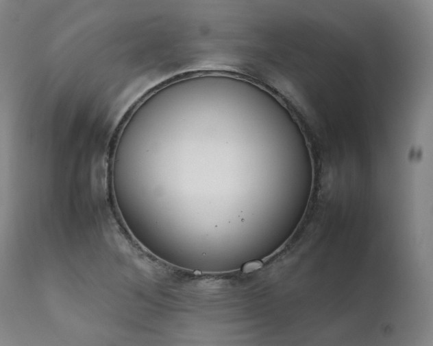 X0000111231268200907091327