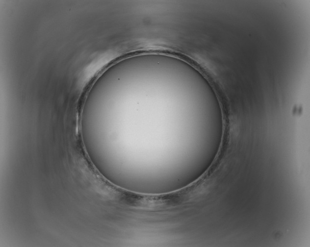 X0000111231269200907091327