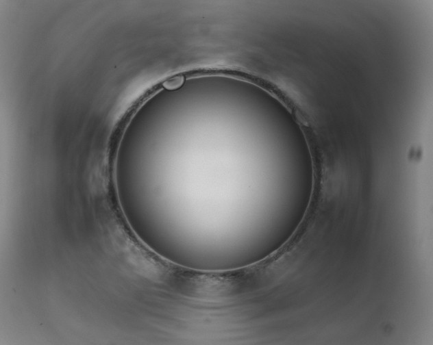 X0000111231270200907091327