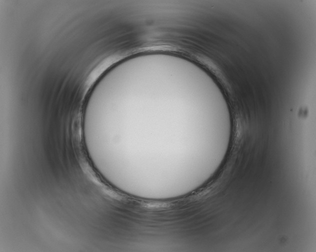 X0000111231274200907091327