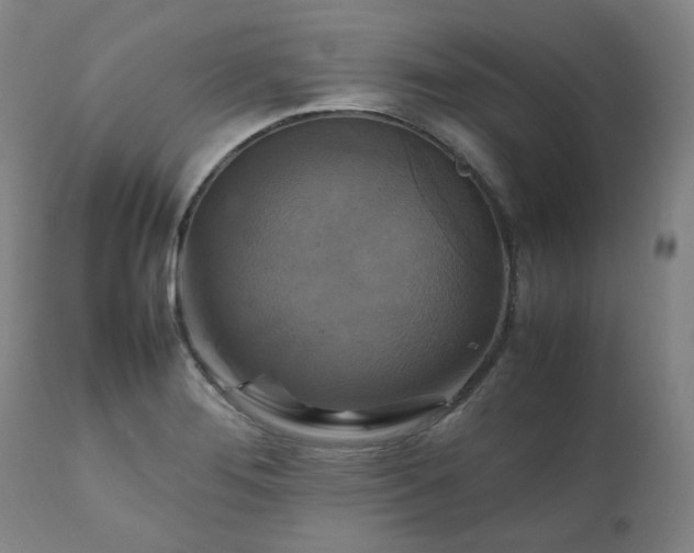 X0000111231276200907091327