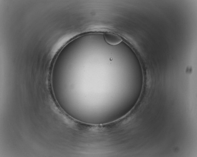 X0000111231277200907091327