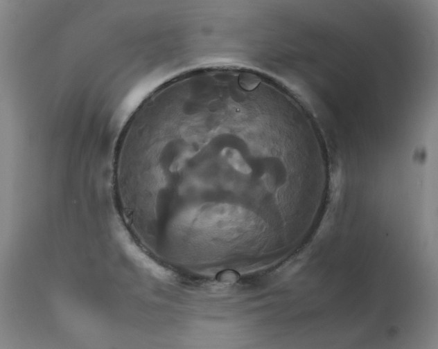X0000111231279200907091327