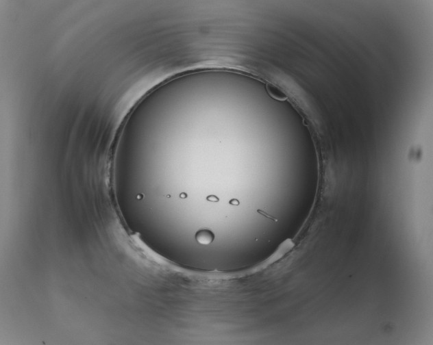 X0000111231284200907091327