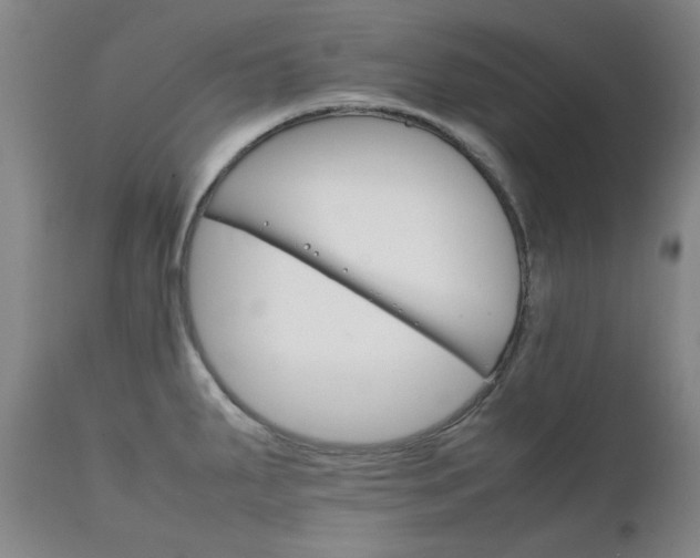 X0000111231287200907091327